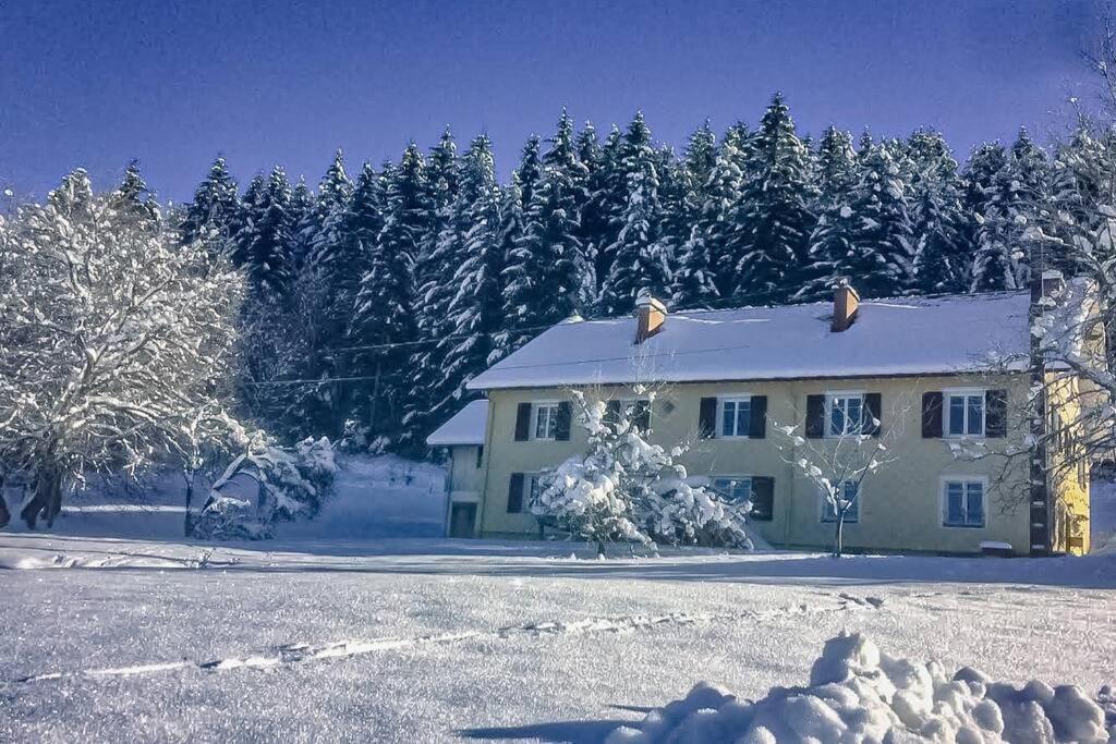 Chalet Cosy Lisiere De Foret Xonrupt-Longemer Exterior photo