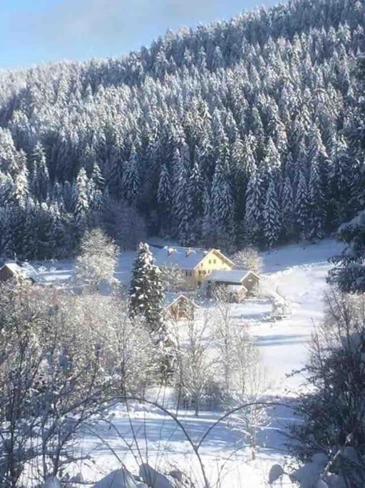 Chalet Cosy Lisiere De Foret Xonrupt-Longemer Exterior photo